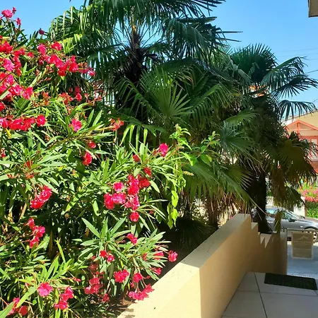 Rose Des Sables * Arcachon